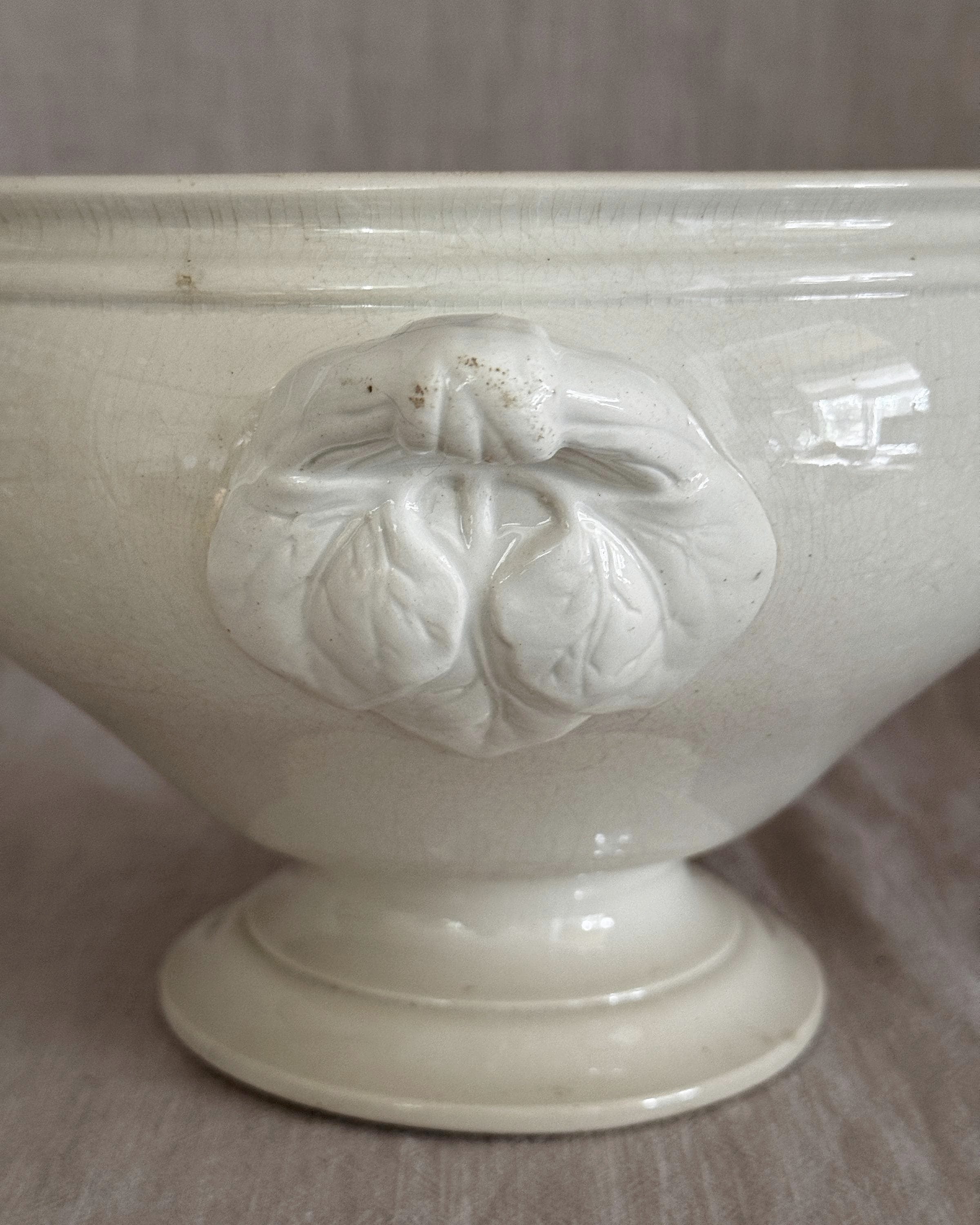 The Antique French Gien Tureen
