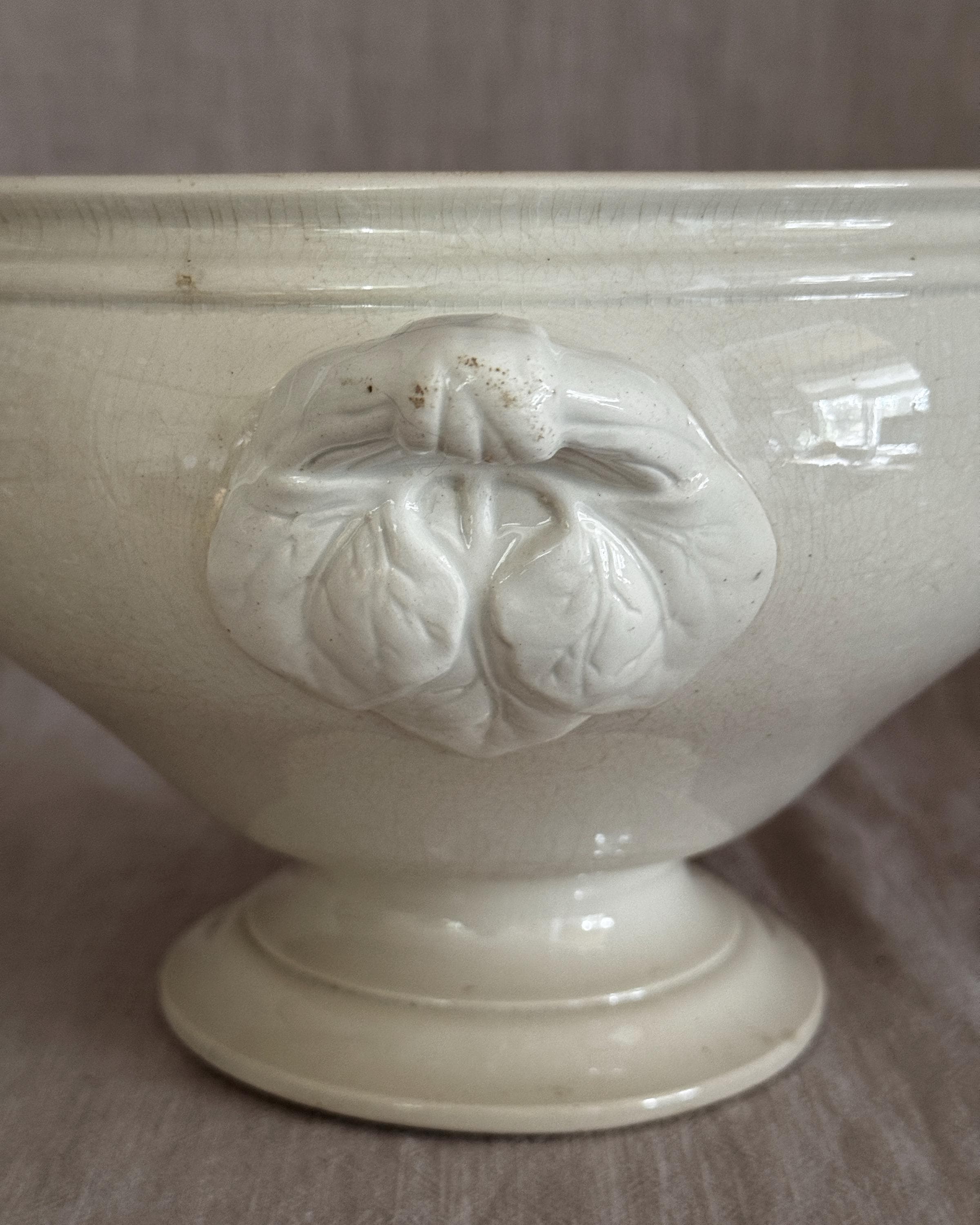 The Antique French Gien Tureen