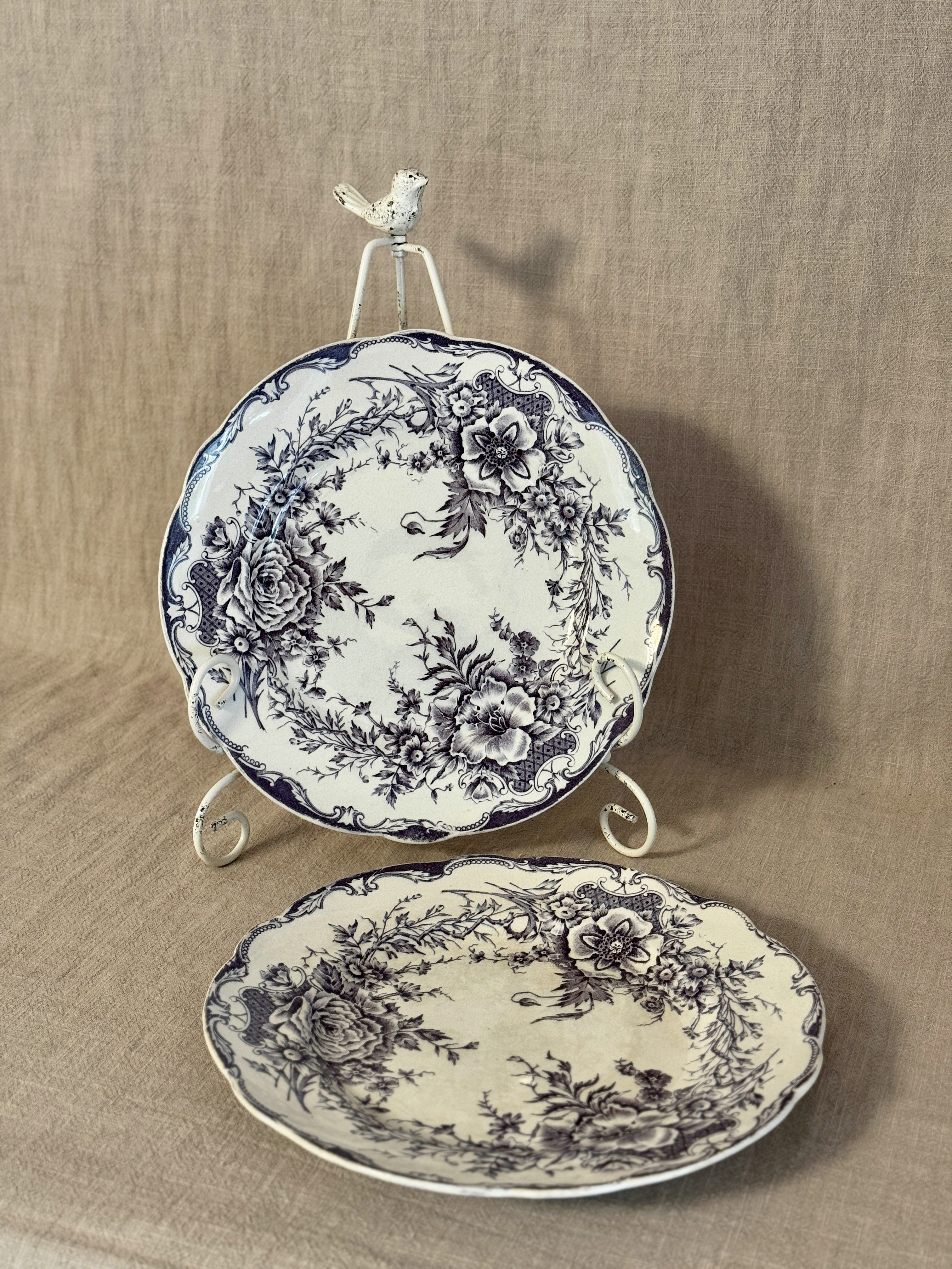 The Birgitta Plates