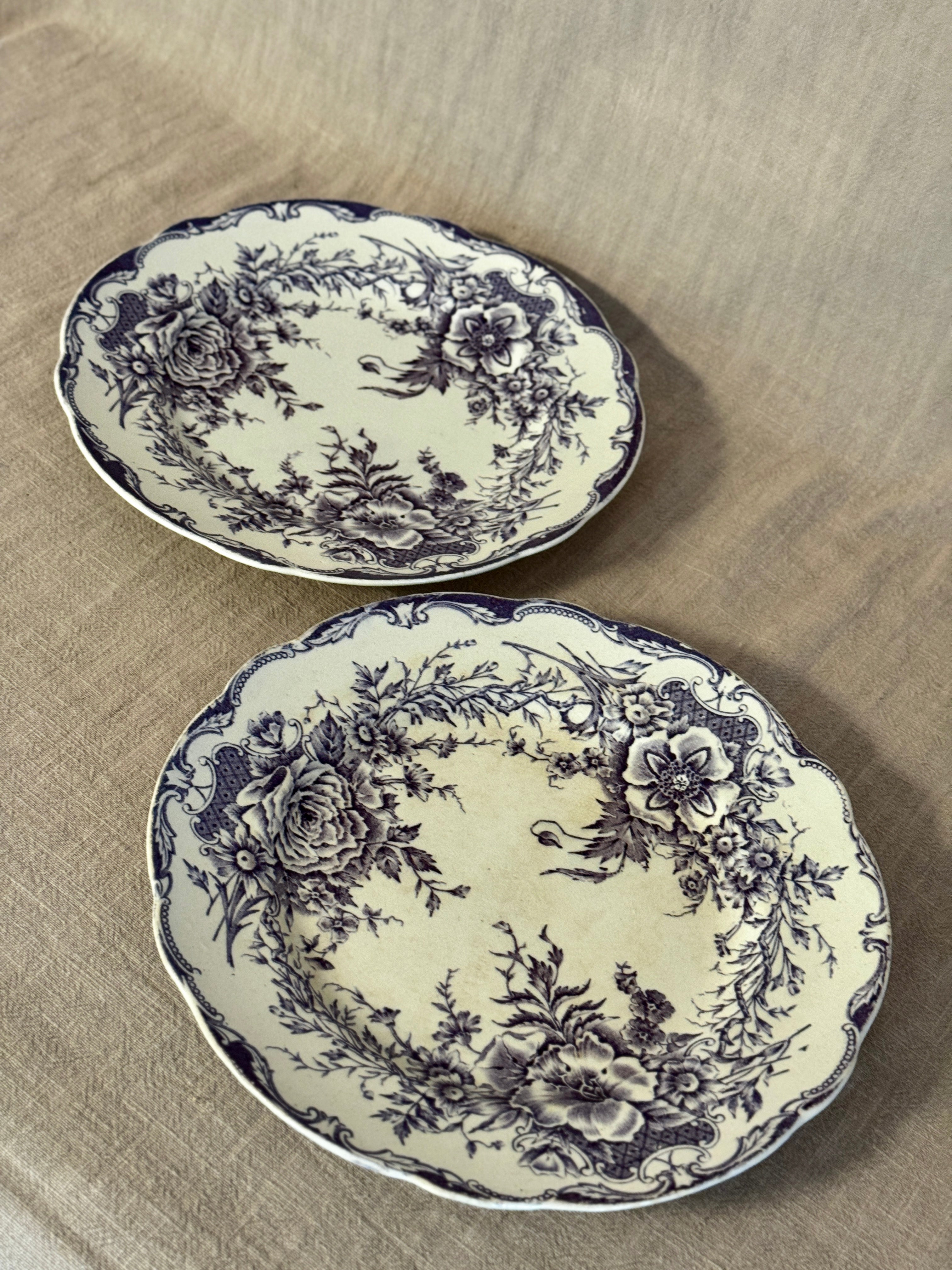 The Birgitta Plates