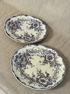 The Birgitta Plates