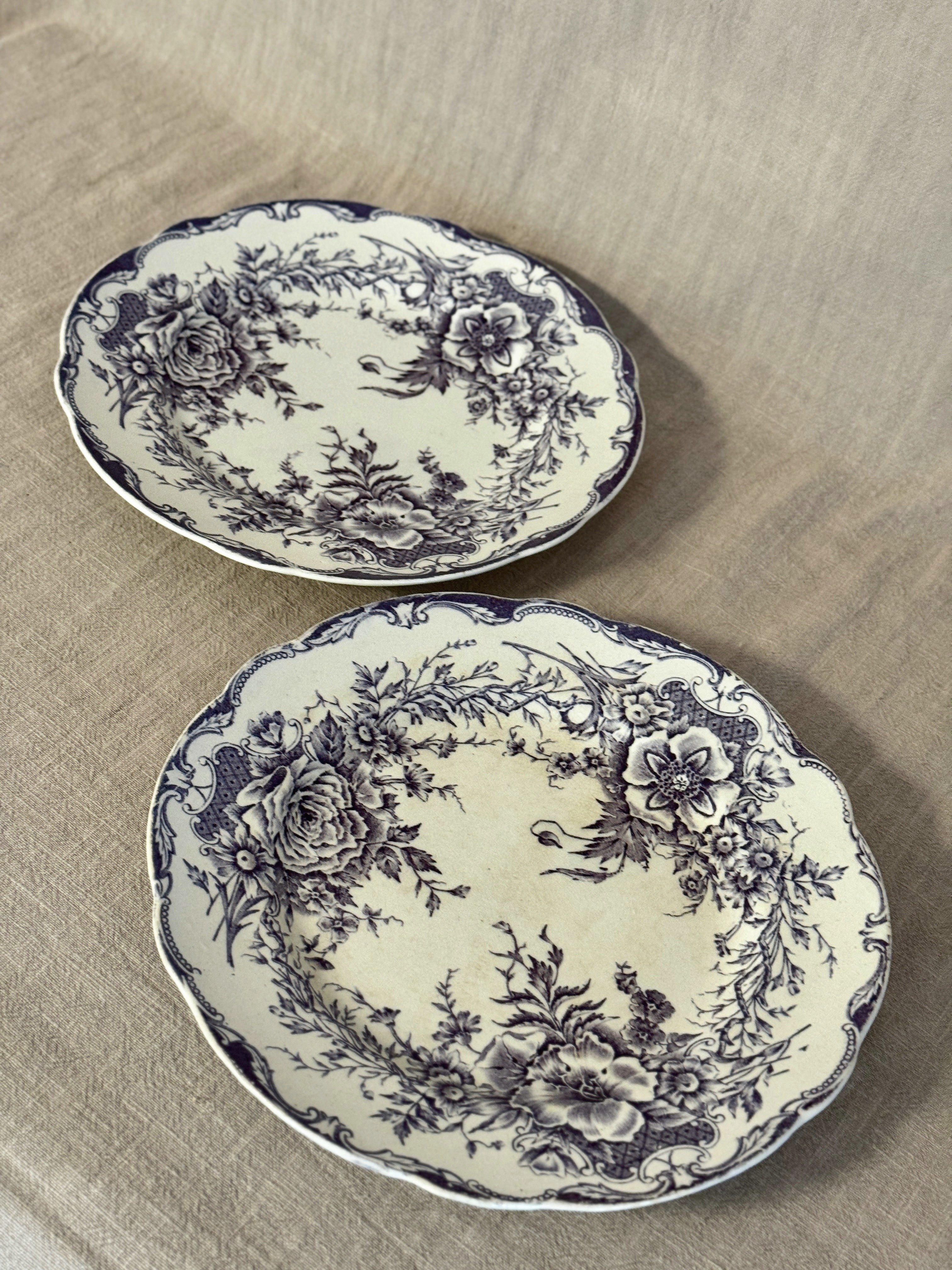 The Birgitta Plates