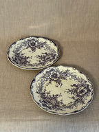 The Birgitta Plates