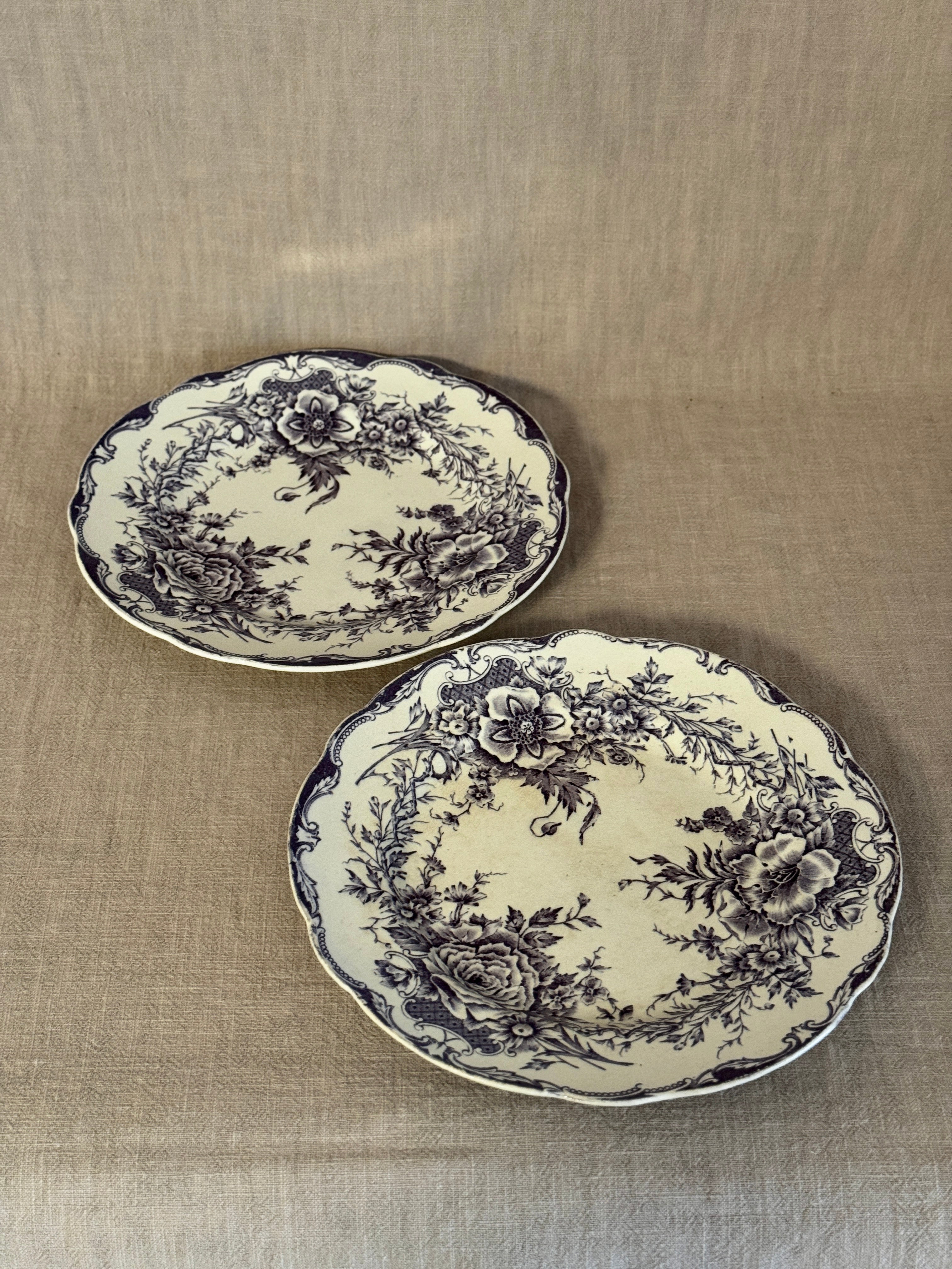 The Birgitta Plates