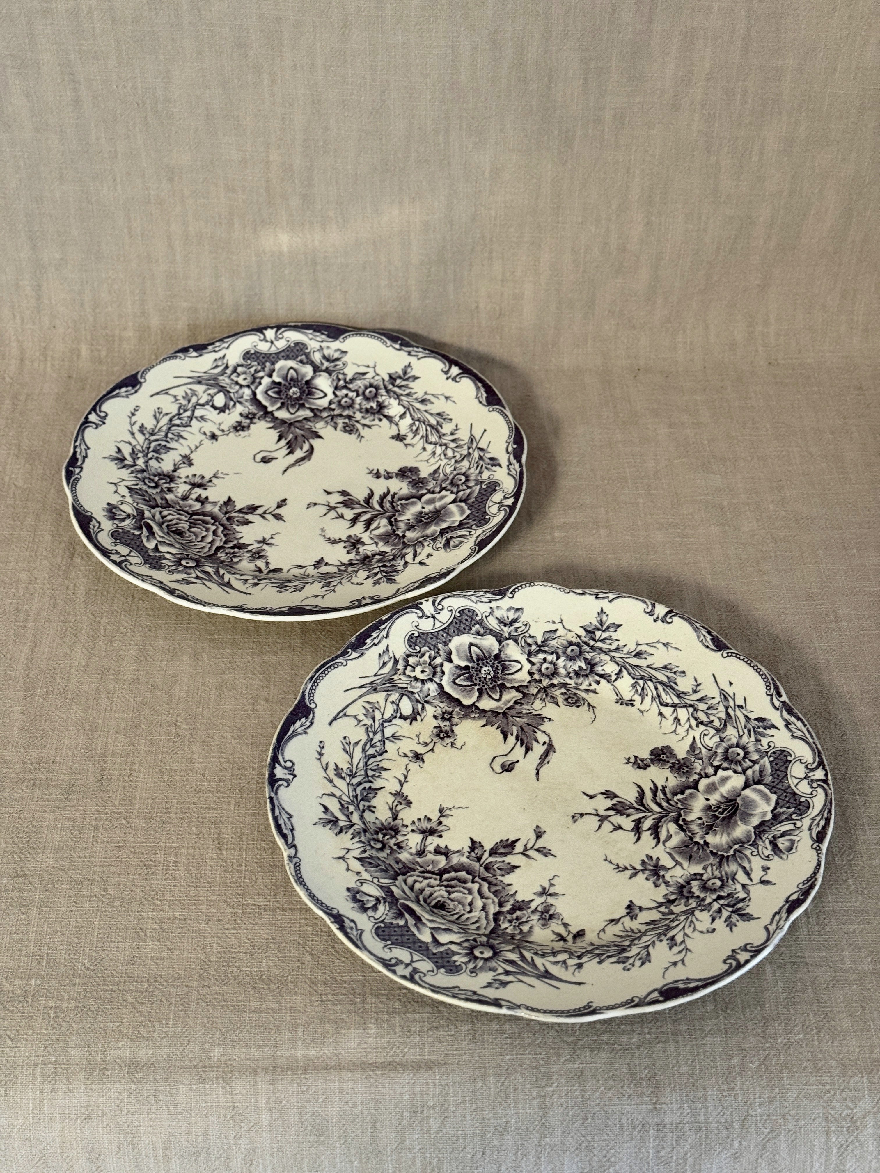 The Birgitta Plates