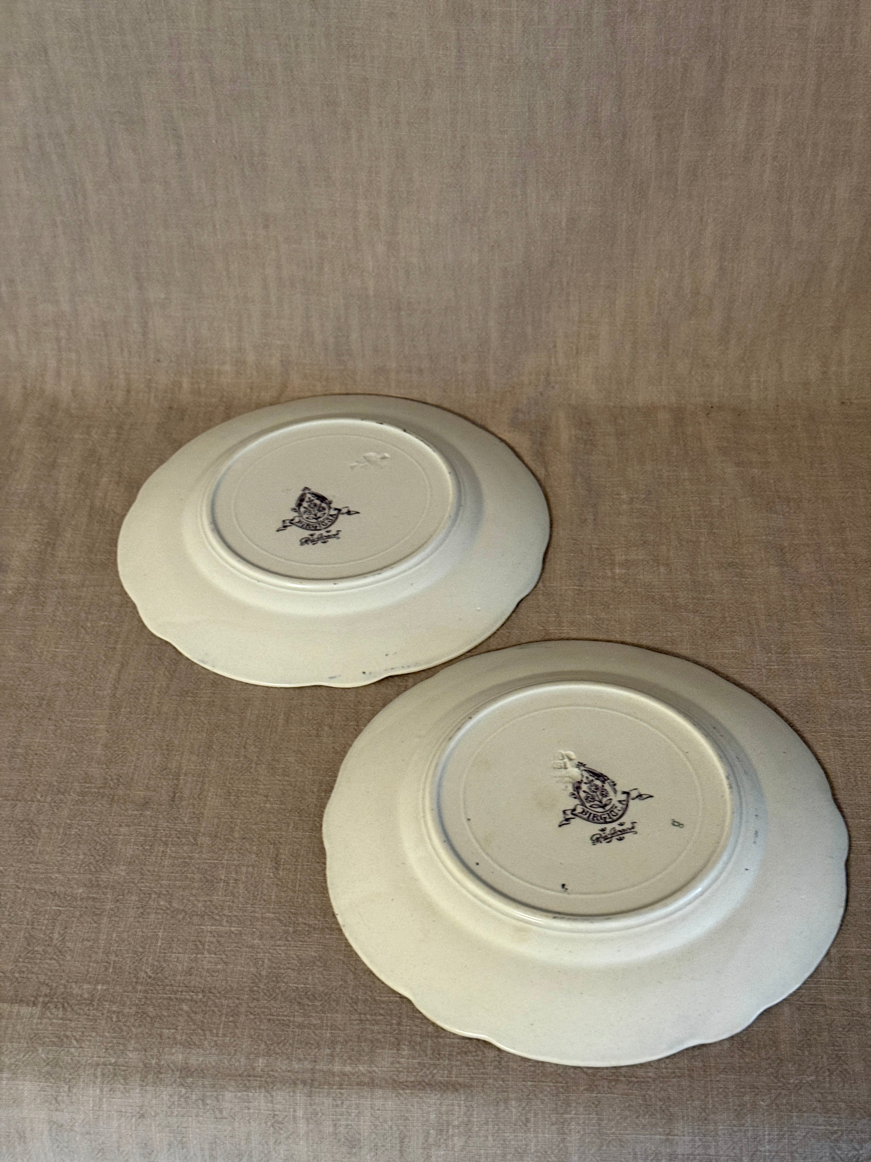 The Birgitta Plates