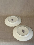 The Birgitta Plates