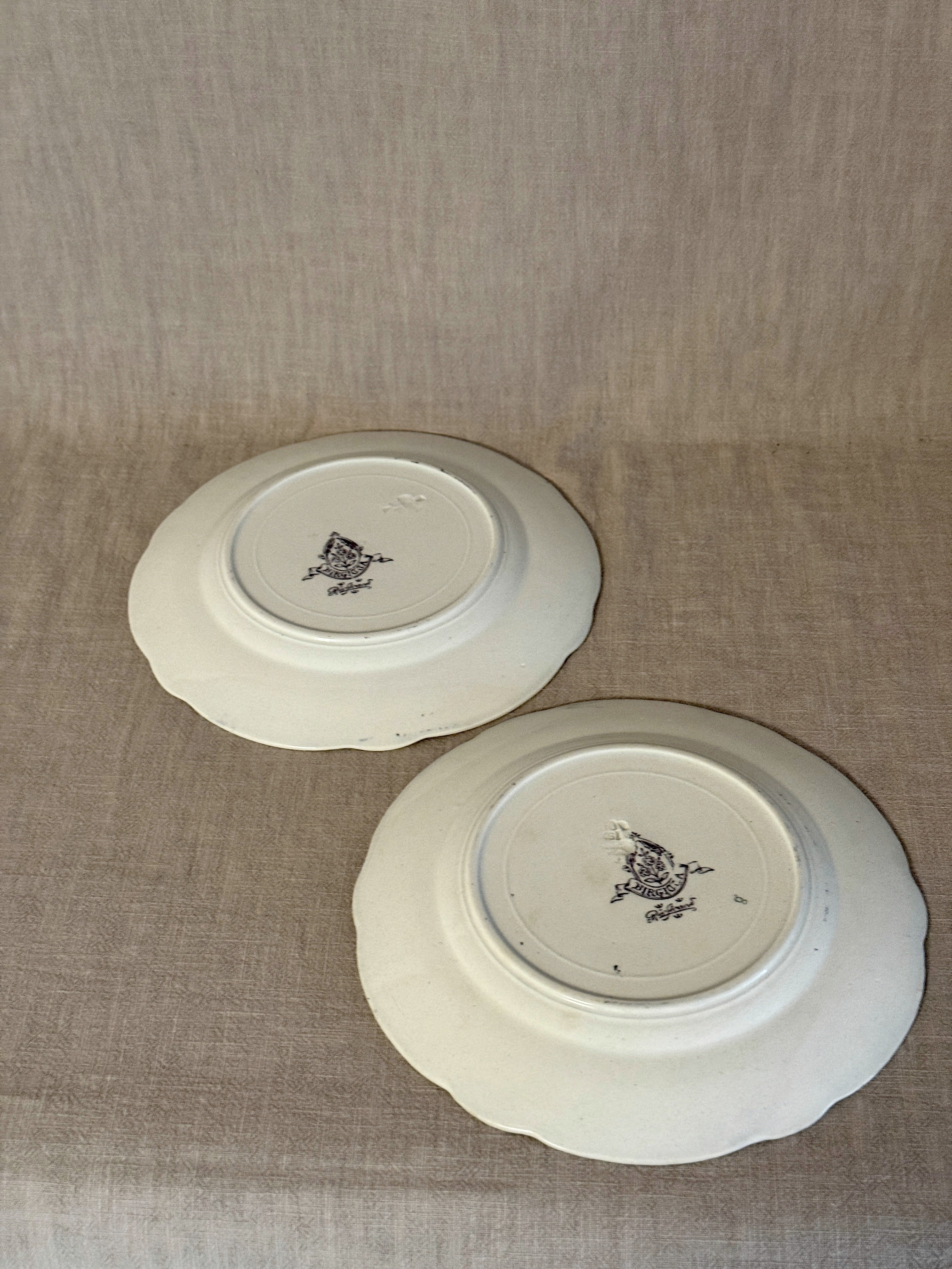 The Birgitta Plates