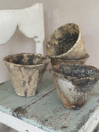 Antique French resin pots from the pine forest, grouped in natural light