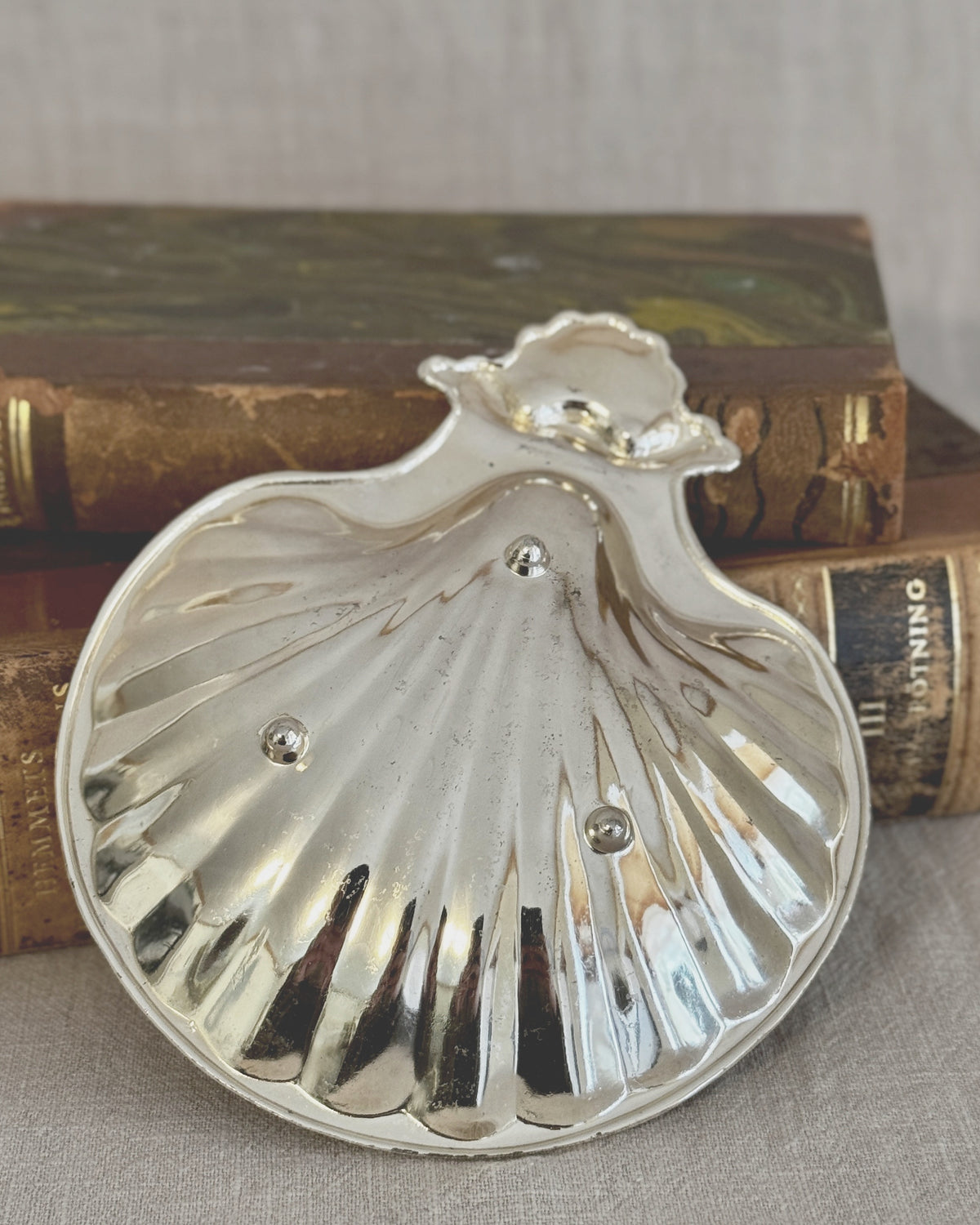 The French Coquille Dish