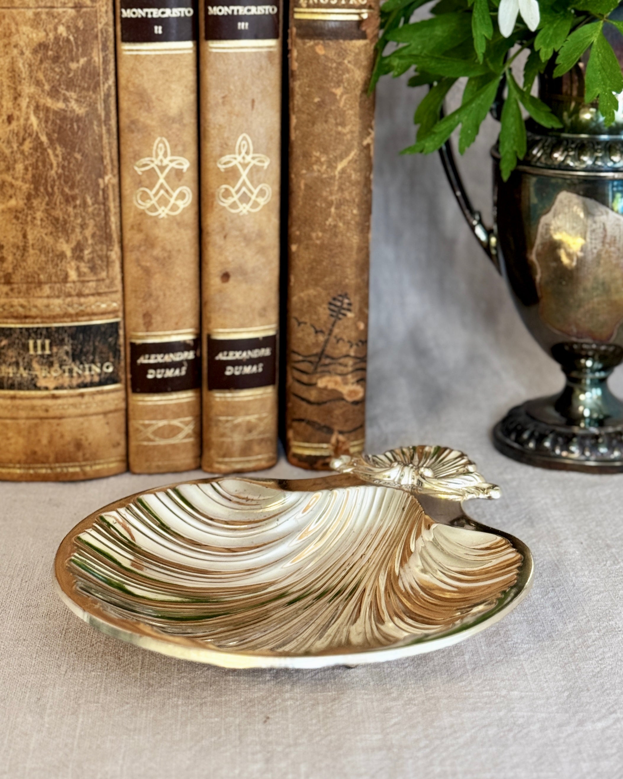 The French Coquille Dish
