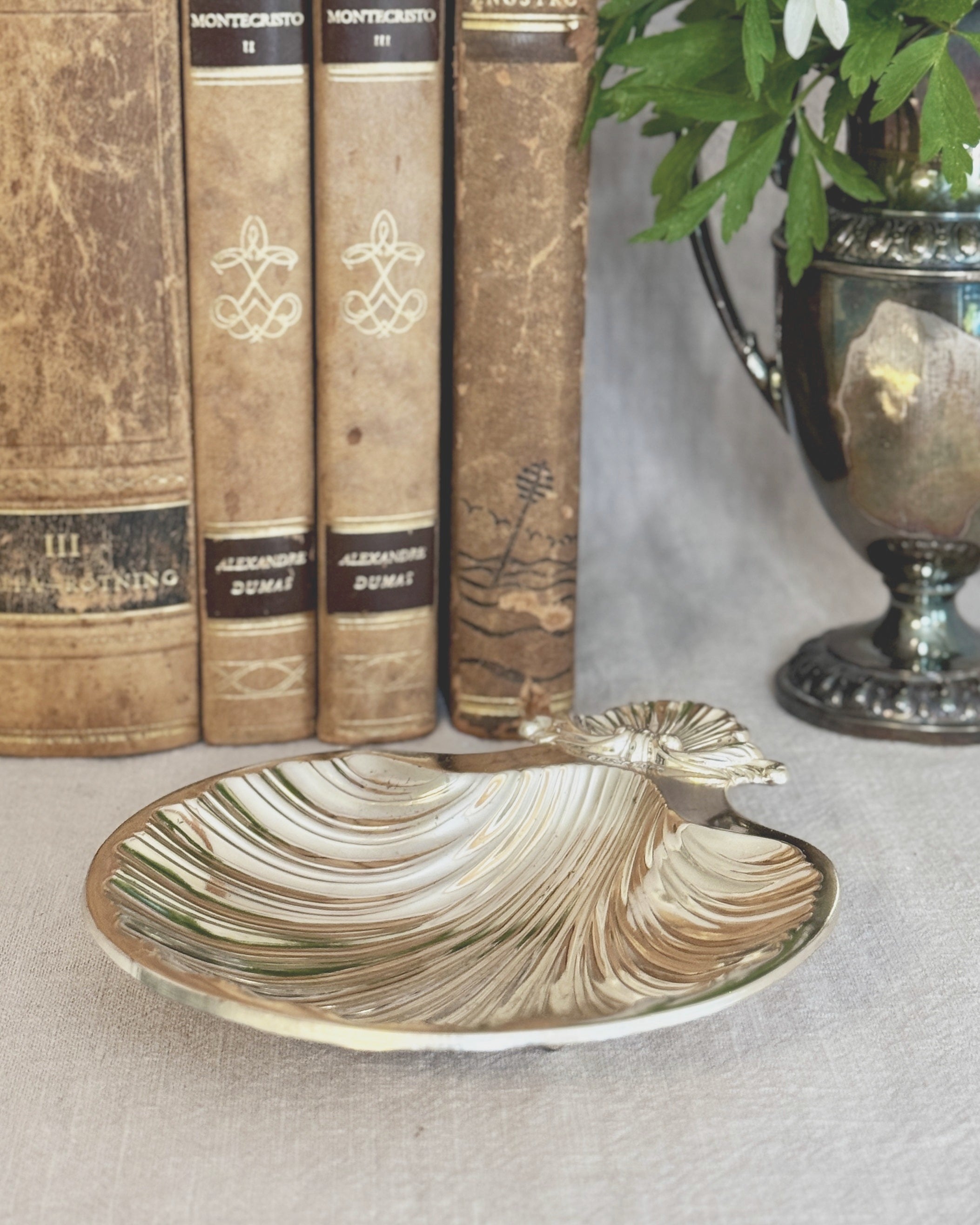 The French Coquille Dish