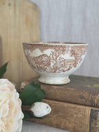 The savannah animal bowl seen on antique books from a slightly different angle