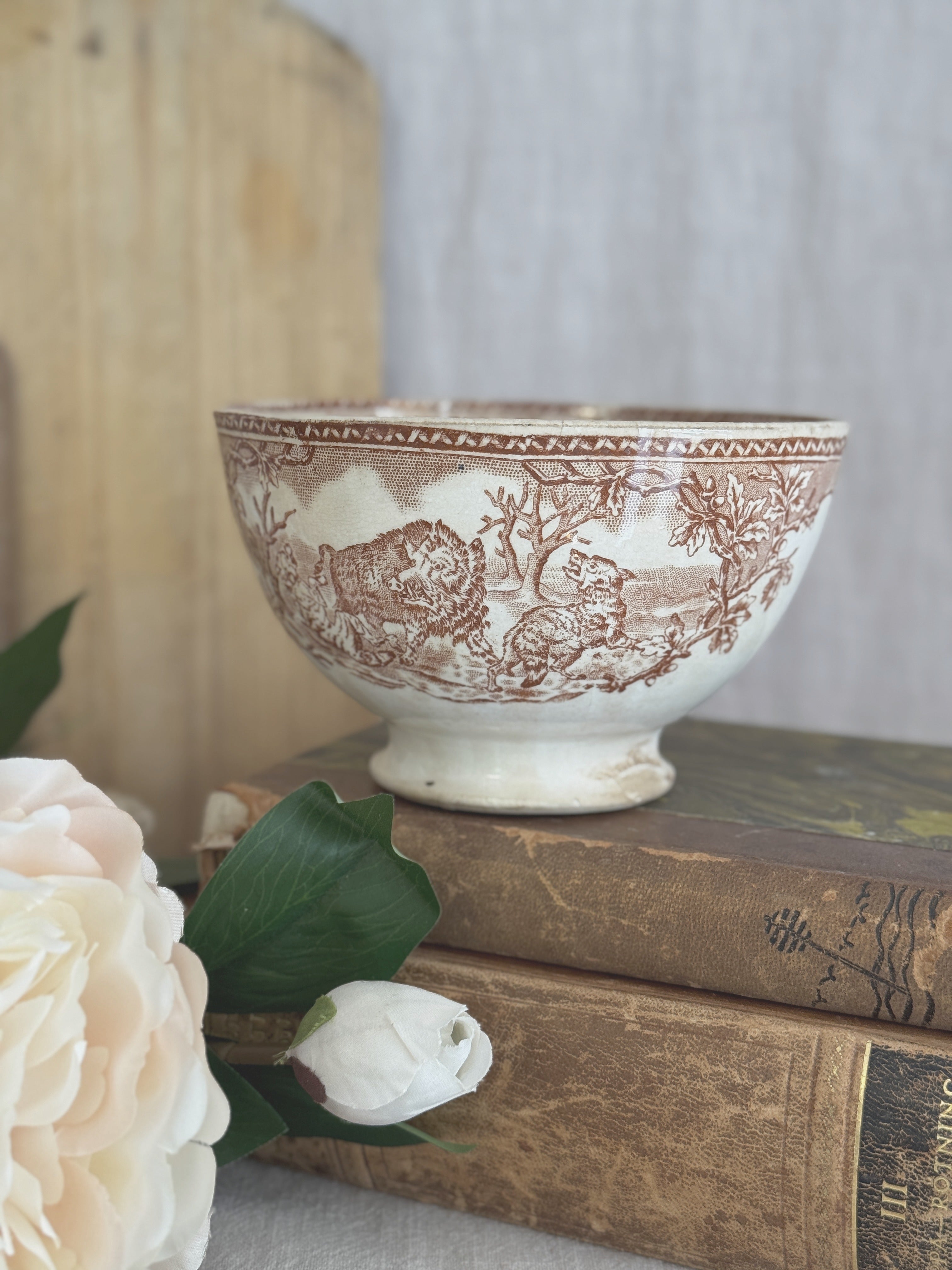 The savannah animal bowl seen on antique books from a slightly different angle