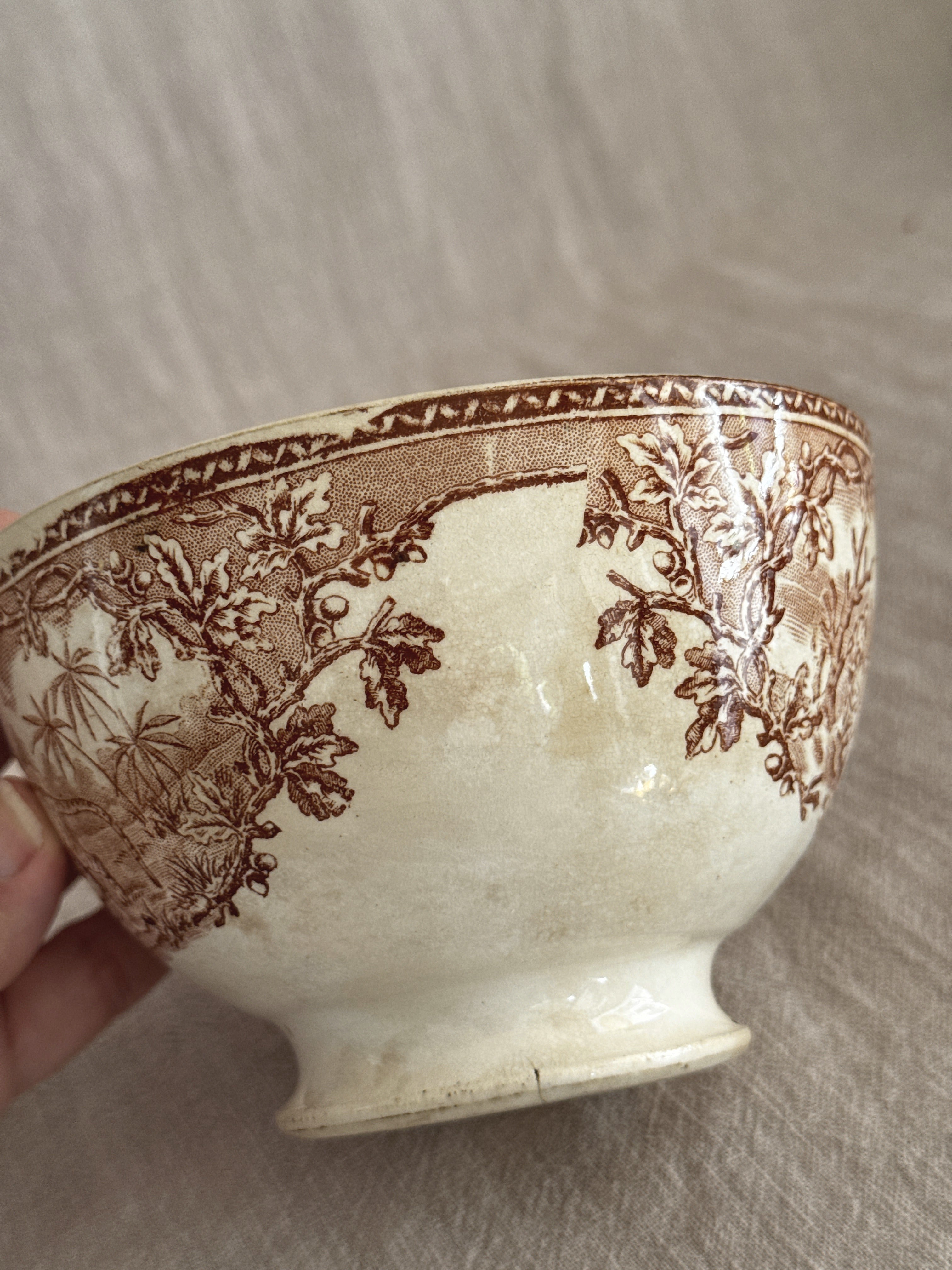 The bowl held in hand showing antelope and trees in the printed band