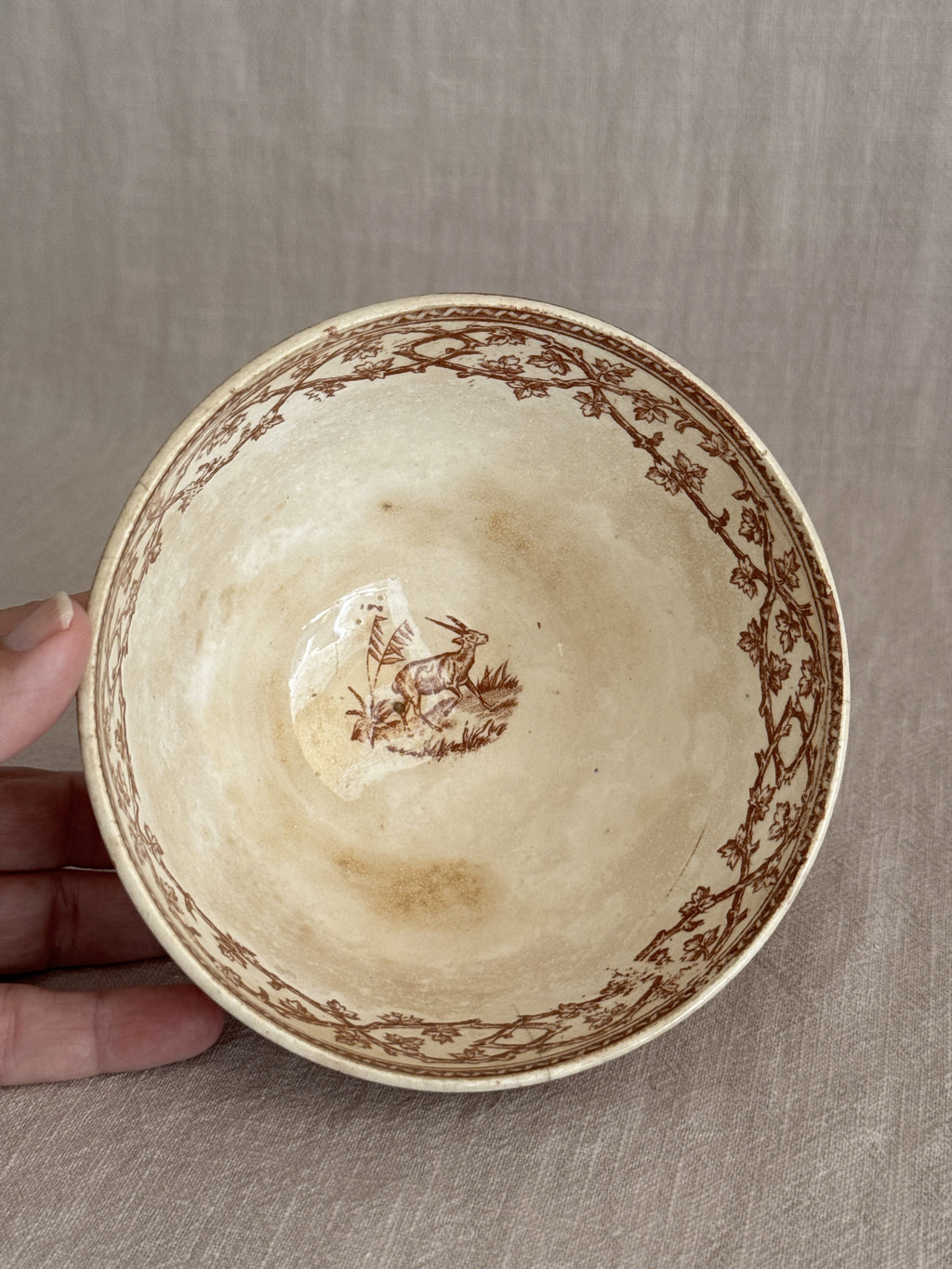 Looking into the bowl interior with the printed rim border and small animal in the well