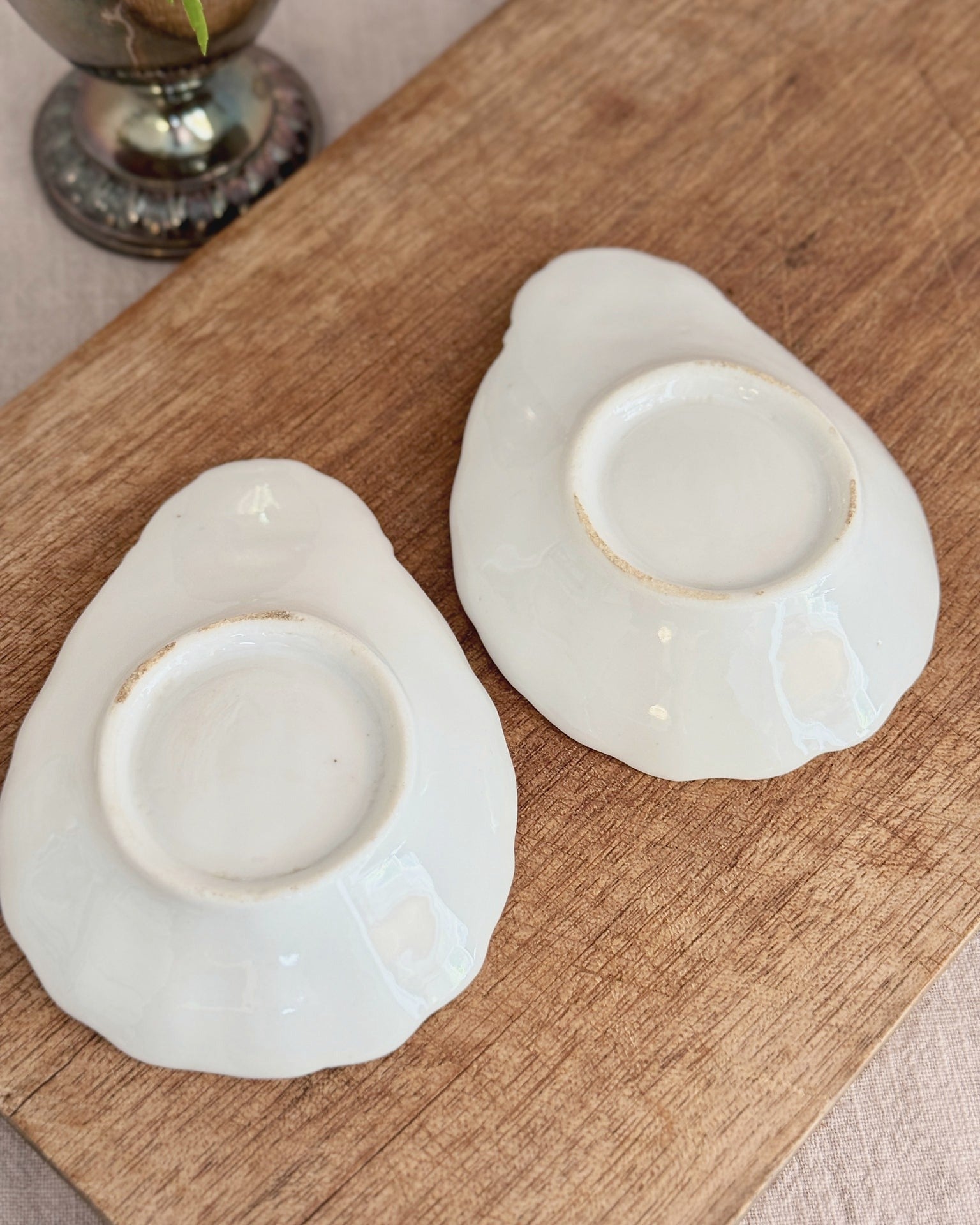 The Shell Dishes — underside view