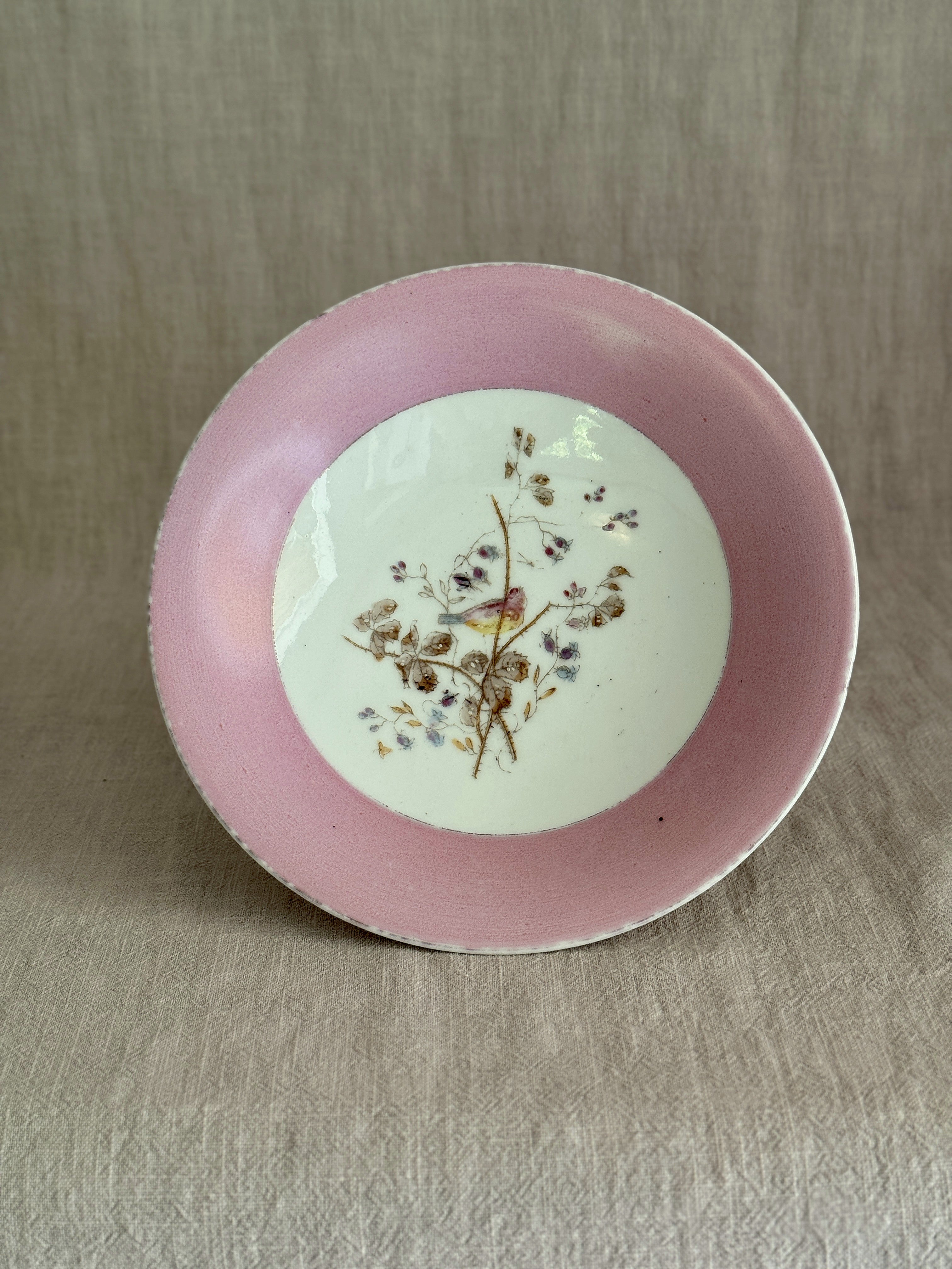 The Pink Bird Compote