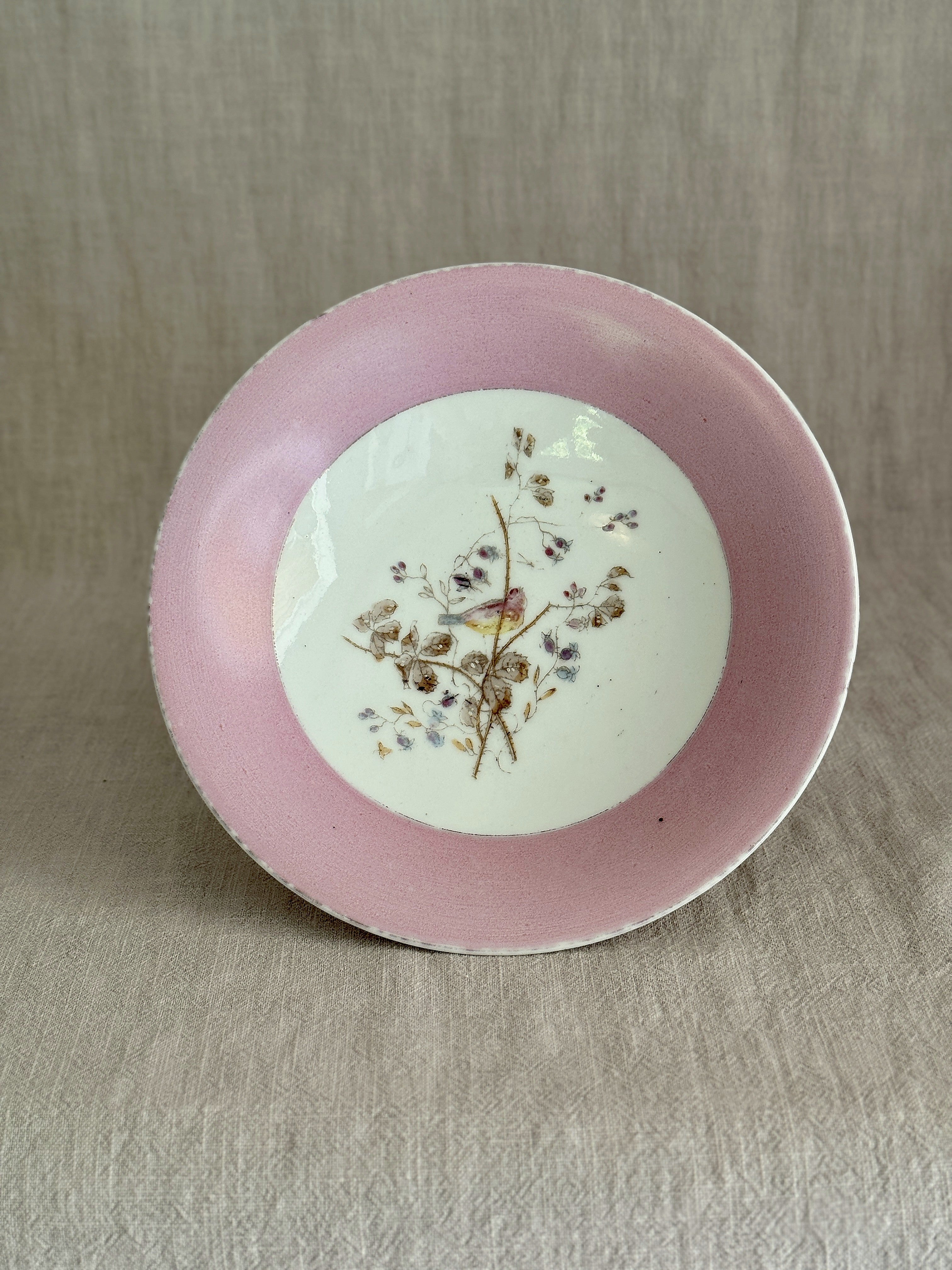 The Pink Bird Compote