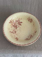 The Provence Basin