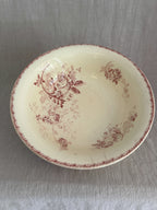 The Provence Basin