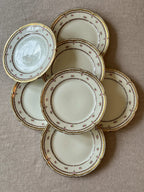 The Limoges Rosebud Plates