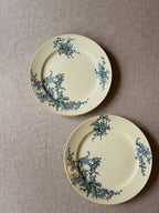 The Boch Music Plates