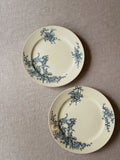 The Boch Music Plates