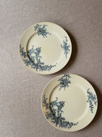 The Boch Music Plates