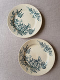 The Floréal Green Plates