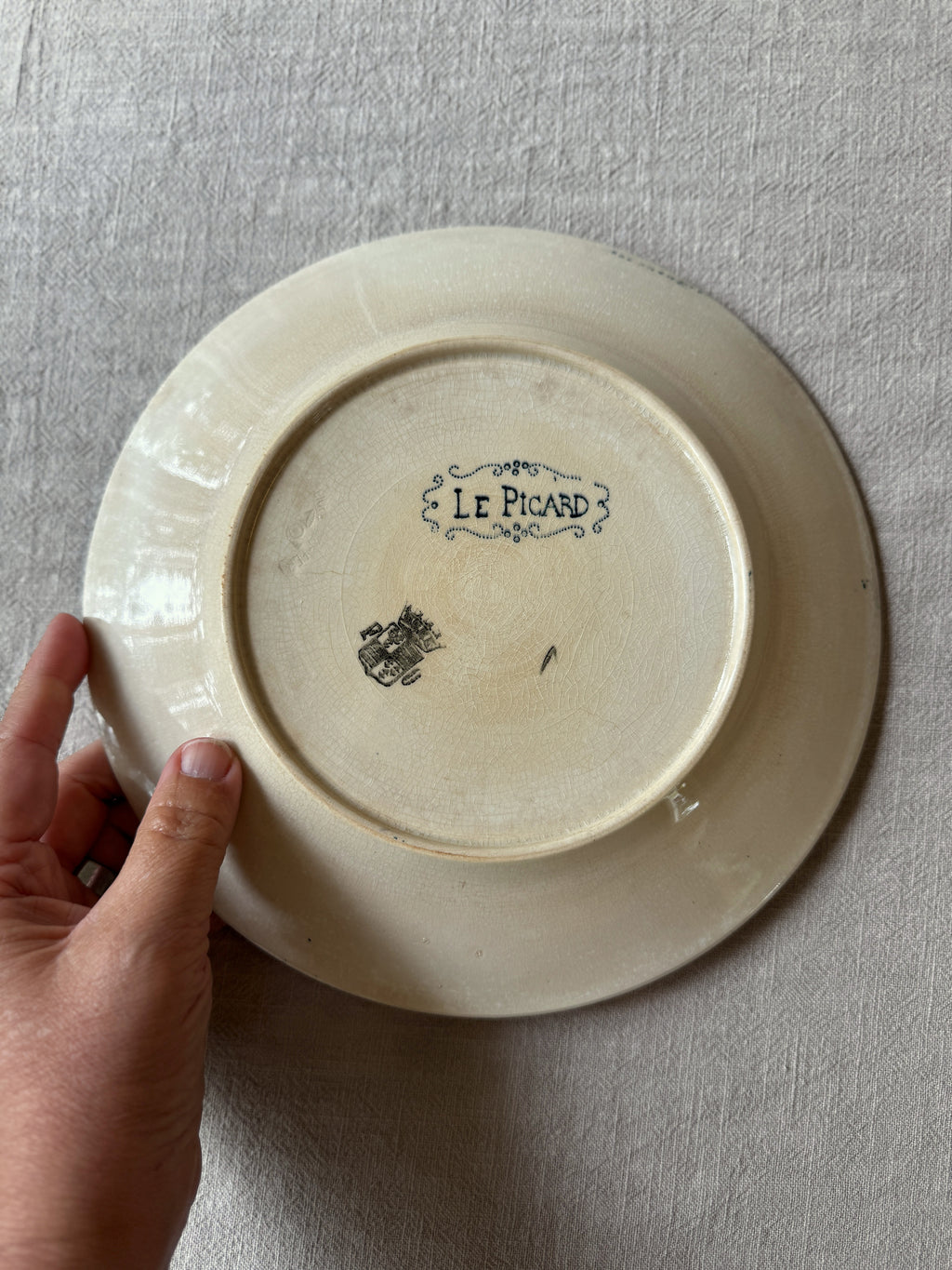 The Mismatched Blue Plates