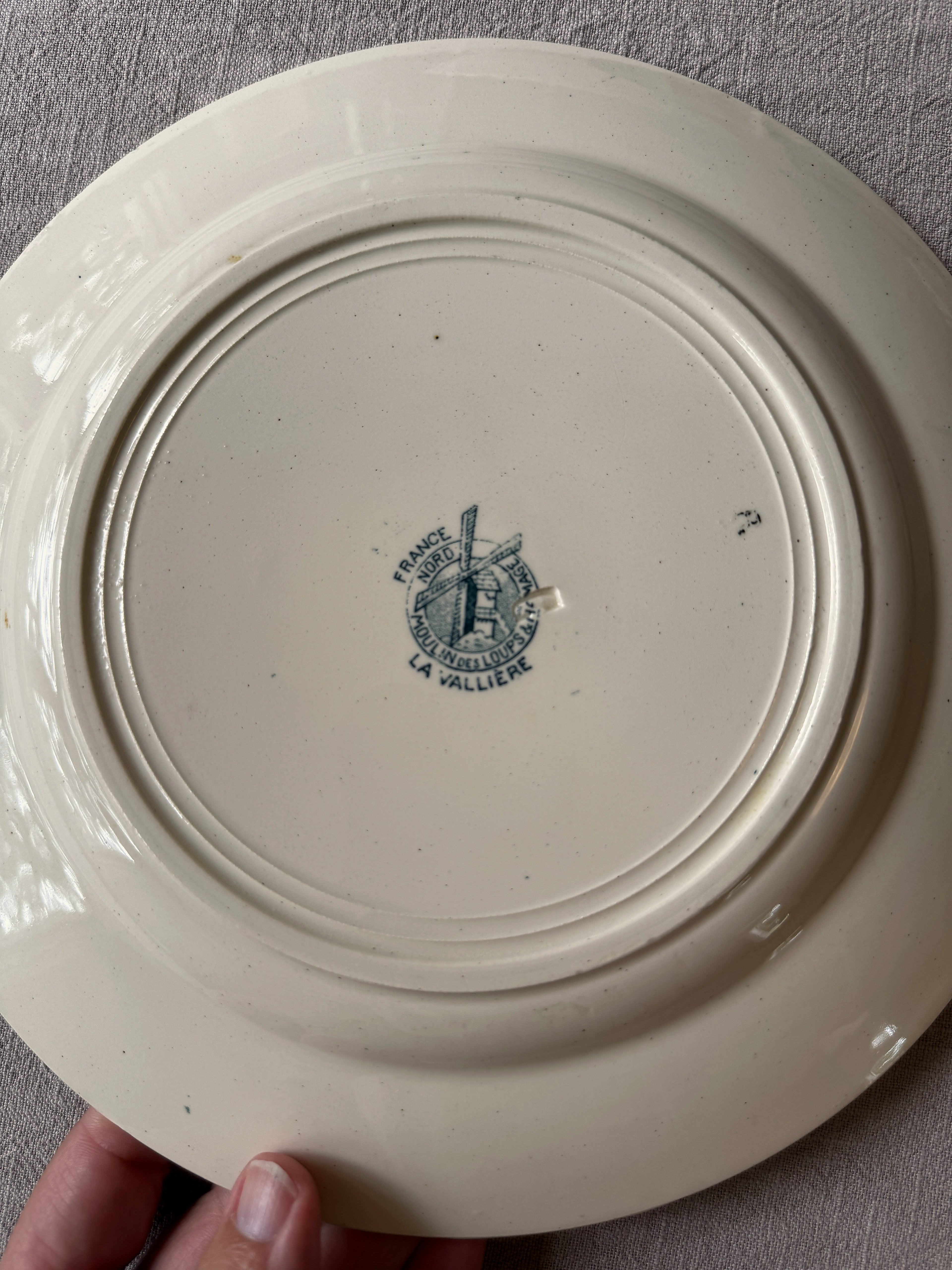 The Mismatched Blue Plates