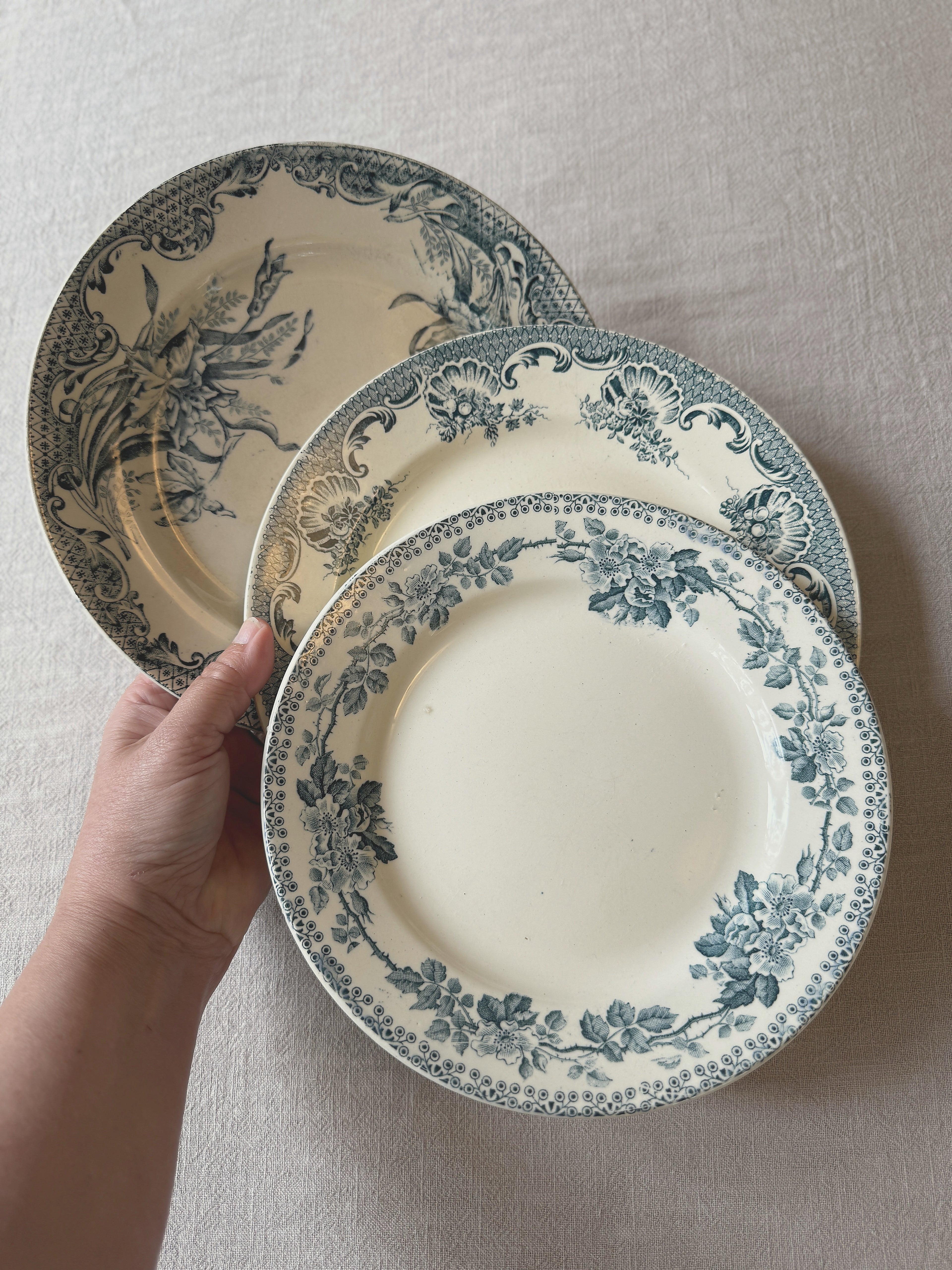 The Mismatched Blue Plates
