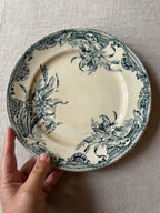 The Mismatched Blue Plates