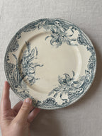 The Mismatched Blue Plates