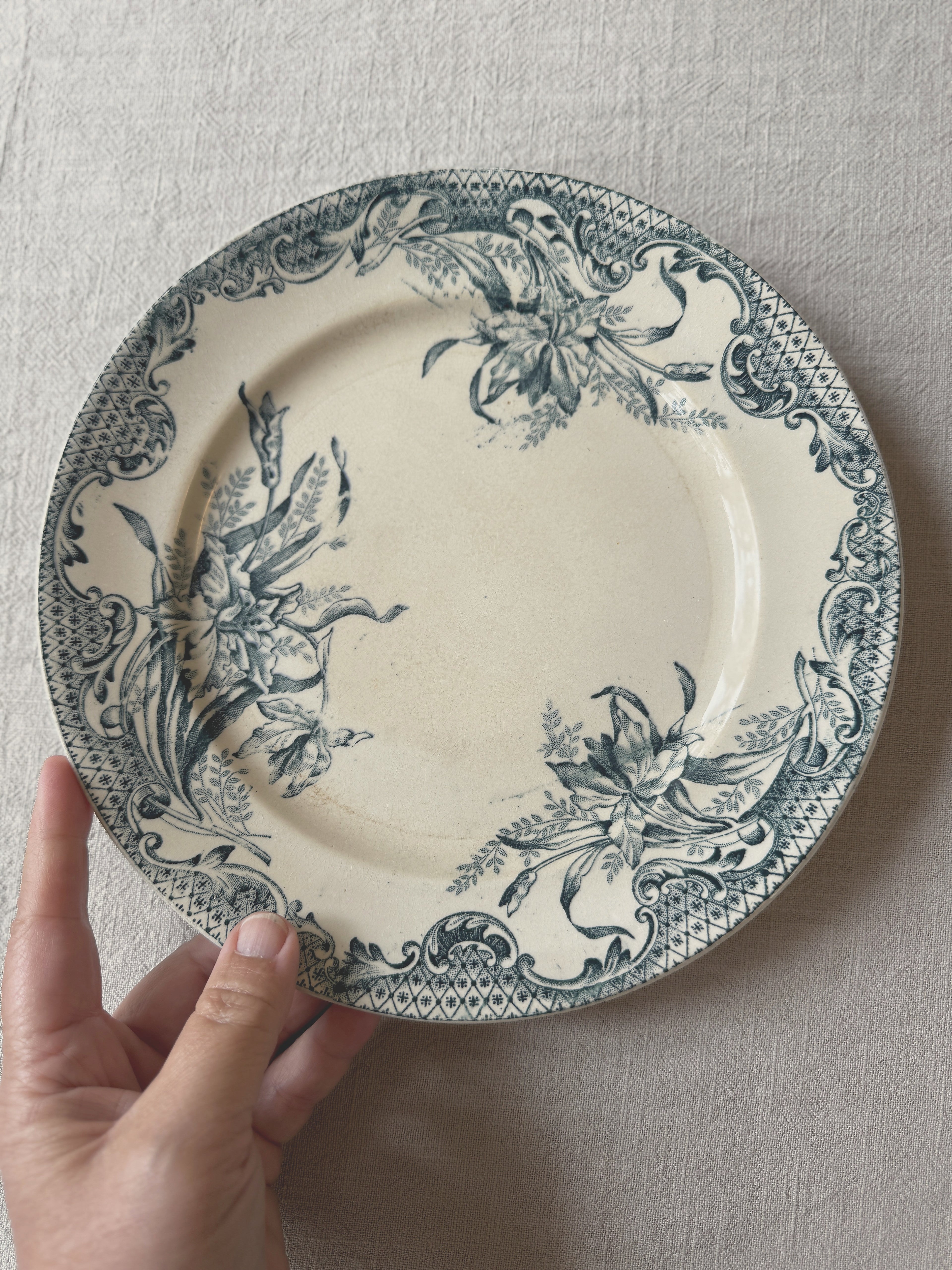 The Mismatched Blue Plates