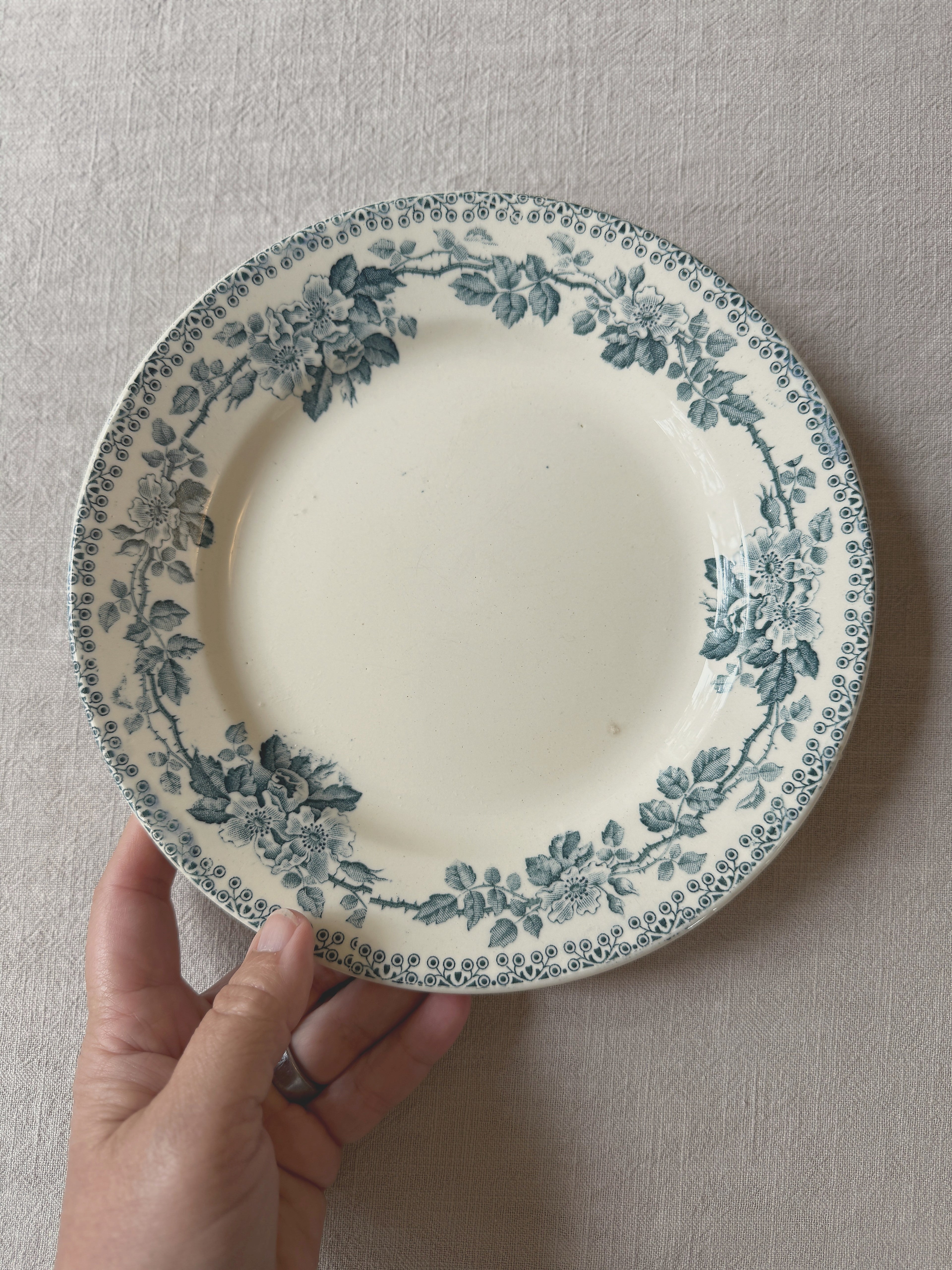 The Mismatched Blue Plates