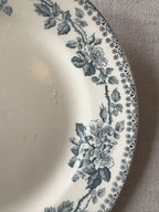 The Mismatched Blue Plates