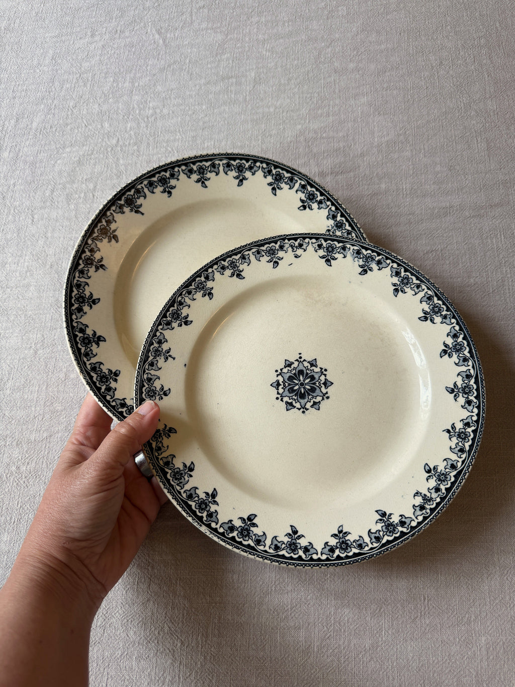 The H.B & Cie Blue Plates