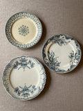 The Grey-Blue Plate Collection