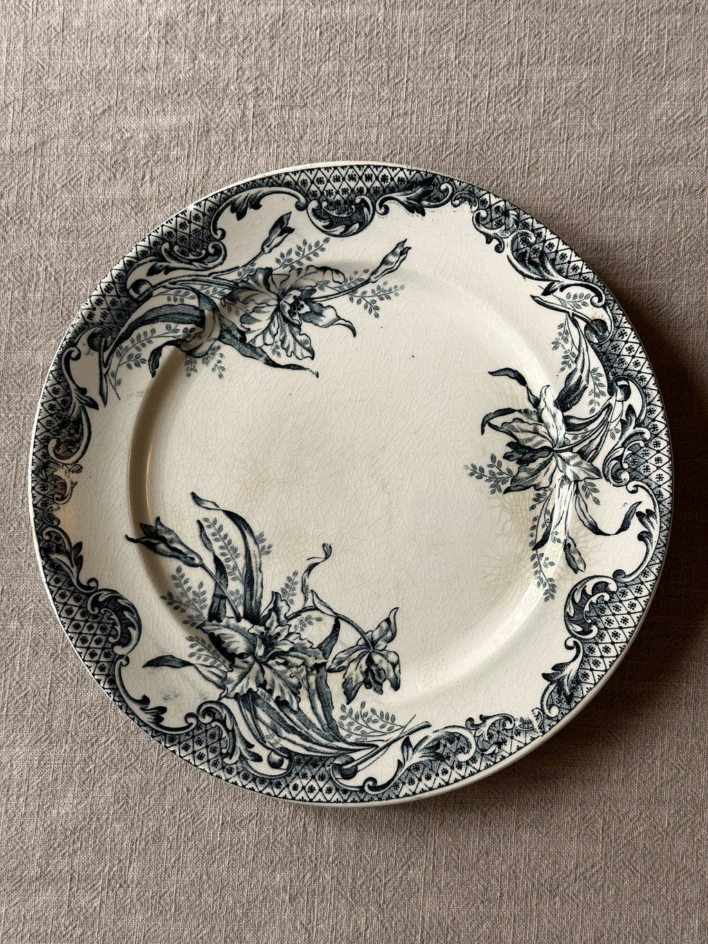 The Grey-Blue Plate Collection