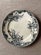 The Grey-Blue Plate Collection