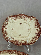 The Primrose Platters
