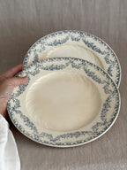 The pair of Longwy plates held in one hand, the two teal garland borders side by side