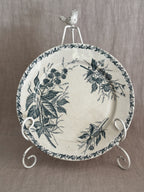 Single early 20th century French Badonviller plate with deep green blackberry sprays and an ivy rim border, shown upright on a stand