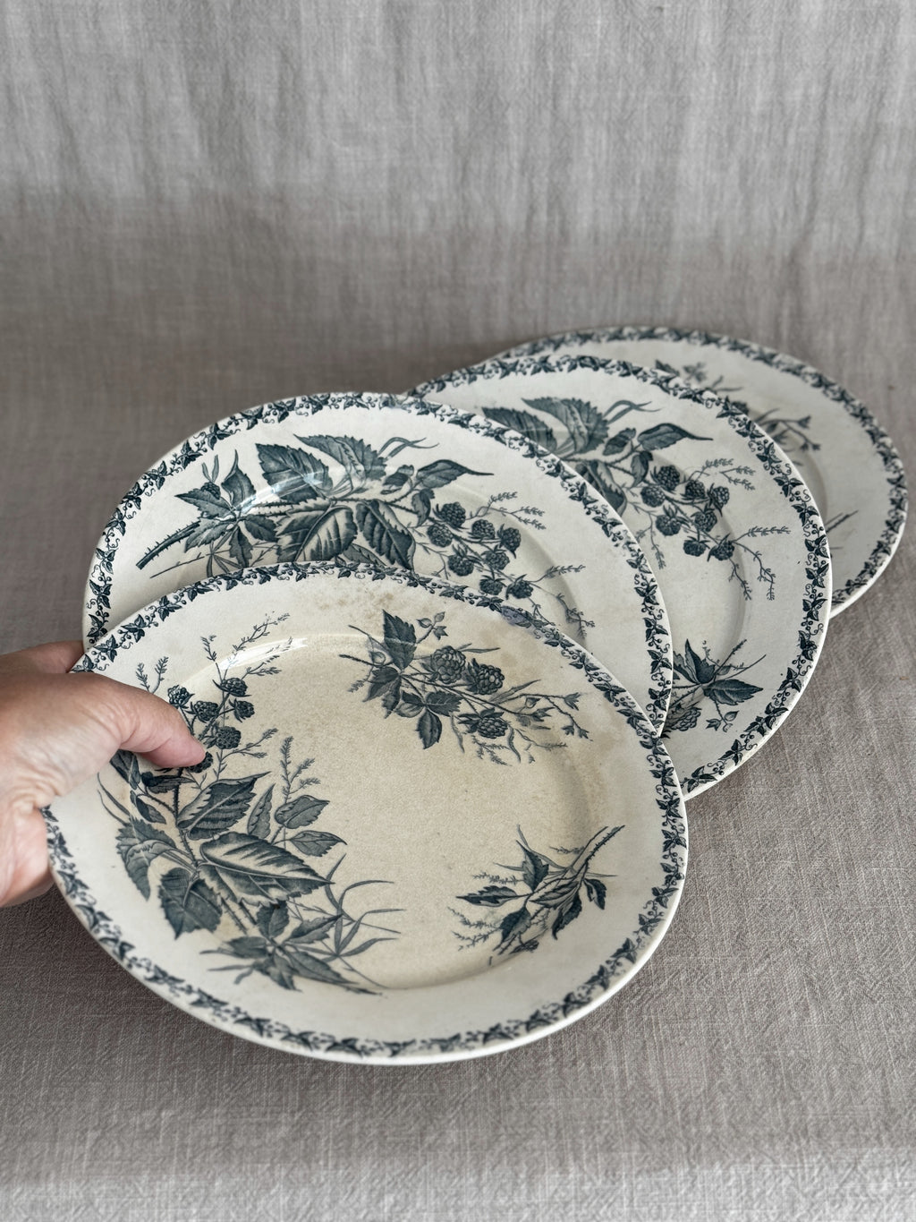 Hand holding four green transferware plates fanned out over a linen cloth, showing the warm all-over age-toning