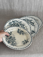 Hand holding four green transferware plates fanned out over a linen cloth, showing the warm all-over age-toning