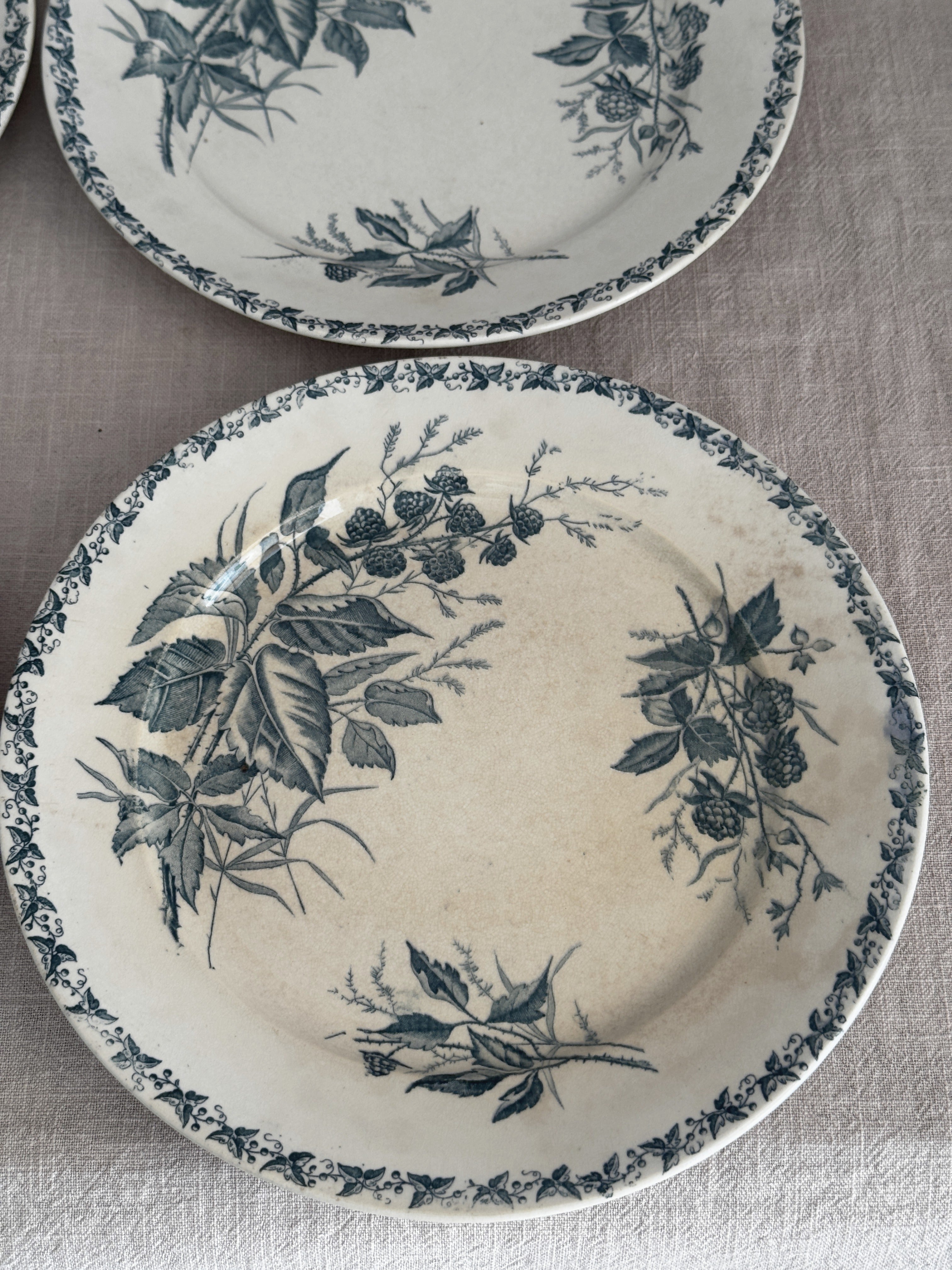 Two French blackberry pattern plates on linen, seen from above, with warm age-toning and a crisp green transfer print