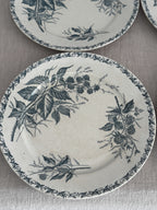 Close view of a Badonviller plate showing blackberry branches, thorned canes and the fine ivy-and-berry border around the rim