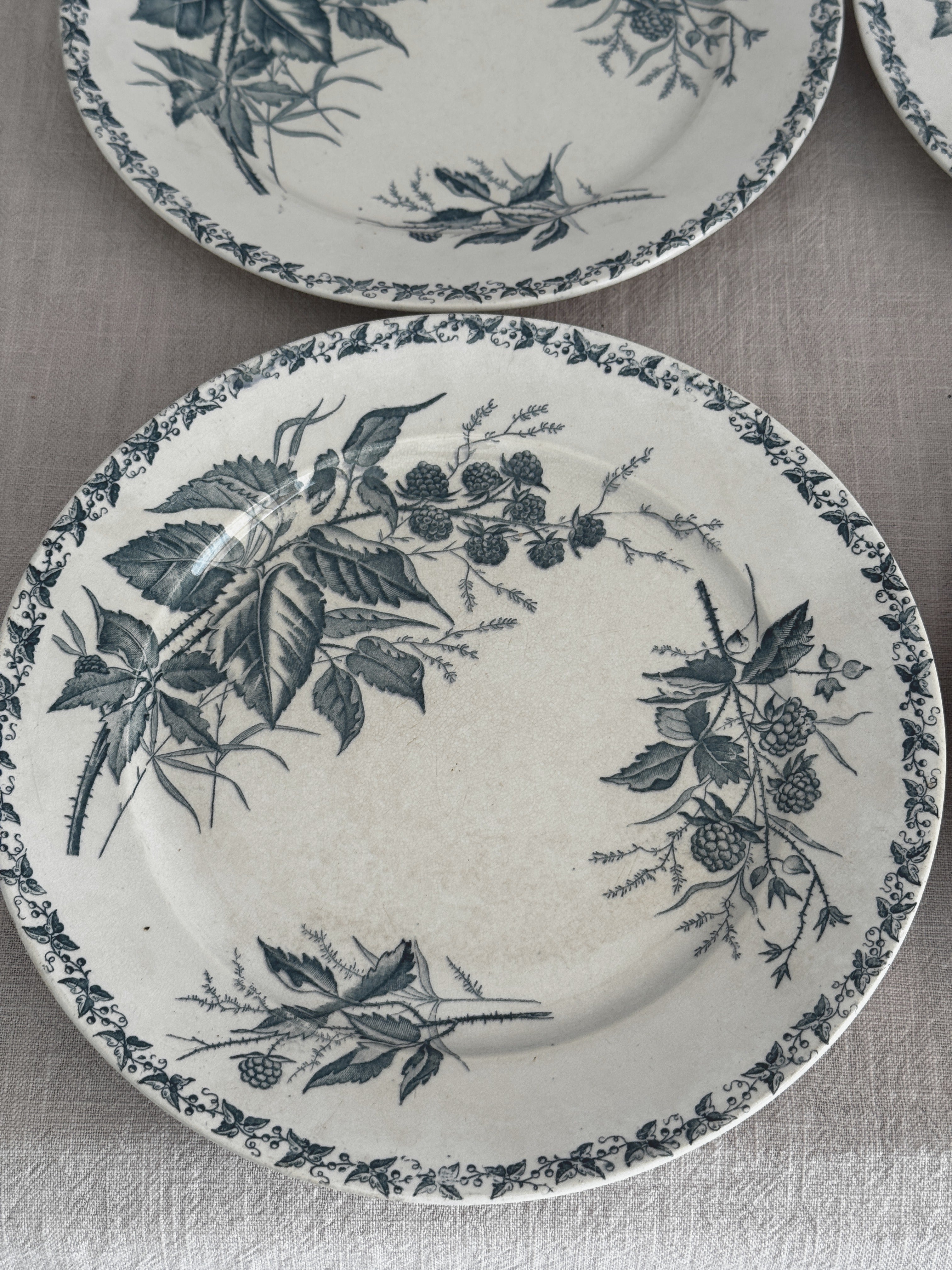 Close view of a Badonviller plate showing blackberry branches, thorned canes and the fine ivy-and-berry border around the rim